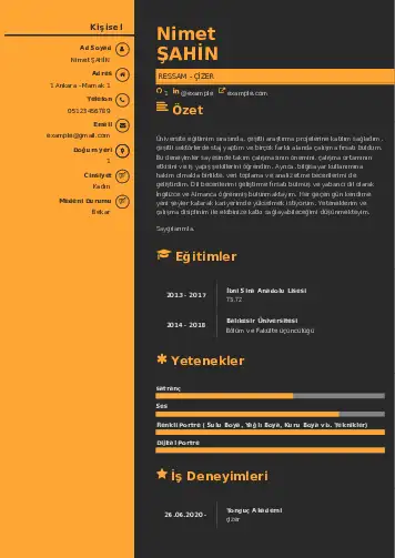 Ressam Cv Örnekleri cv indir